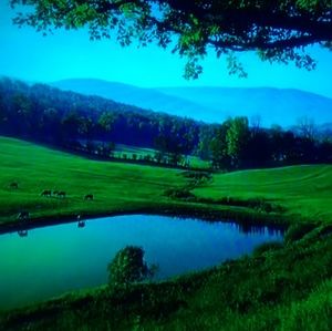 Meet your Posher, Celia